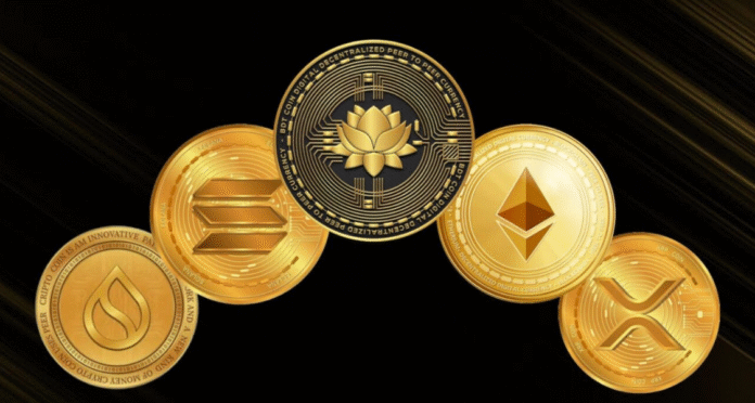 BDTCOIN (BDTC)