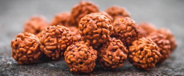 5 mukhi rudraksha benefits