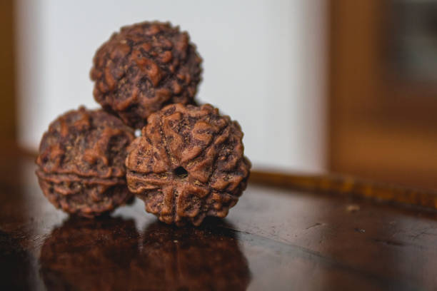 5 Mukhi Rudraksha Sahakara Nagar