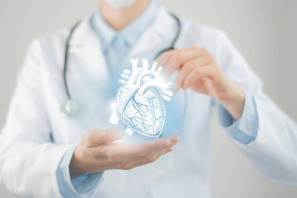medical autopsy services Tampa FL