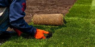 grass sod in Fairfax