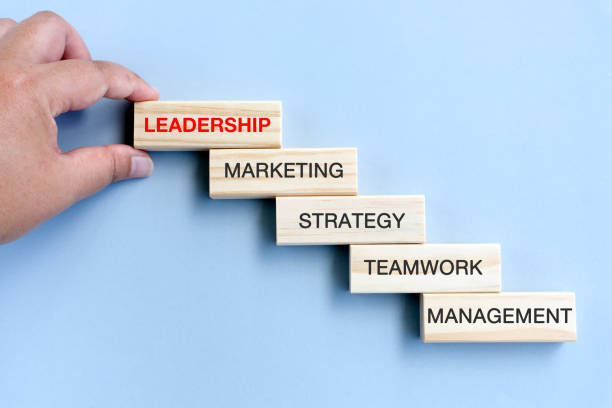 investing in structured leadership development programs for managers